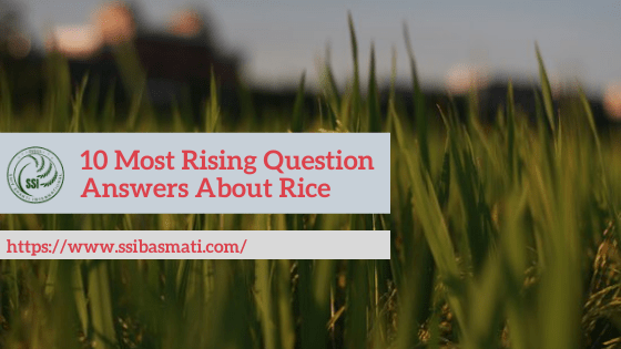 10-Most-Rising-Question-ANswers-About-Rice-min.png