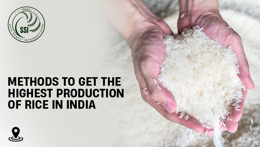 Methods to Get the Highest Production of Rice in India